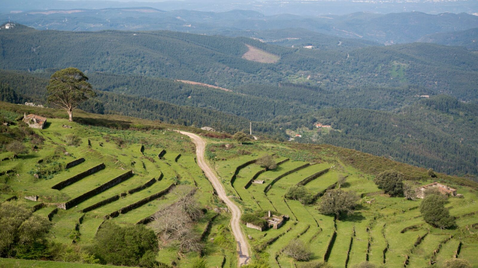 Scenic cycling route in Serra de Monchique, Algarve.