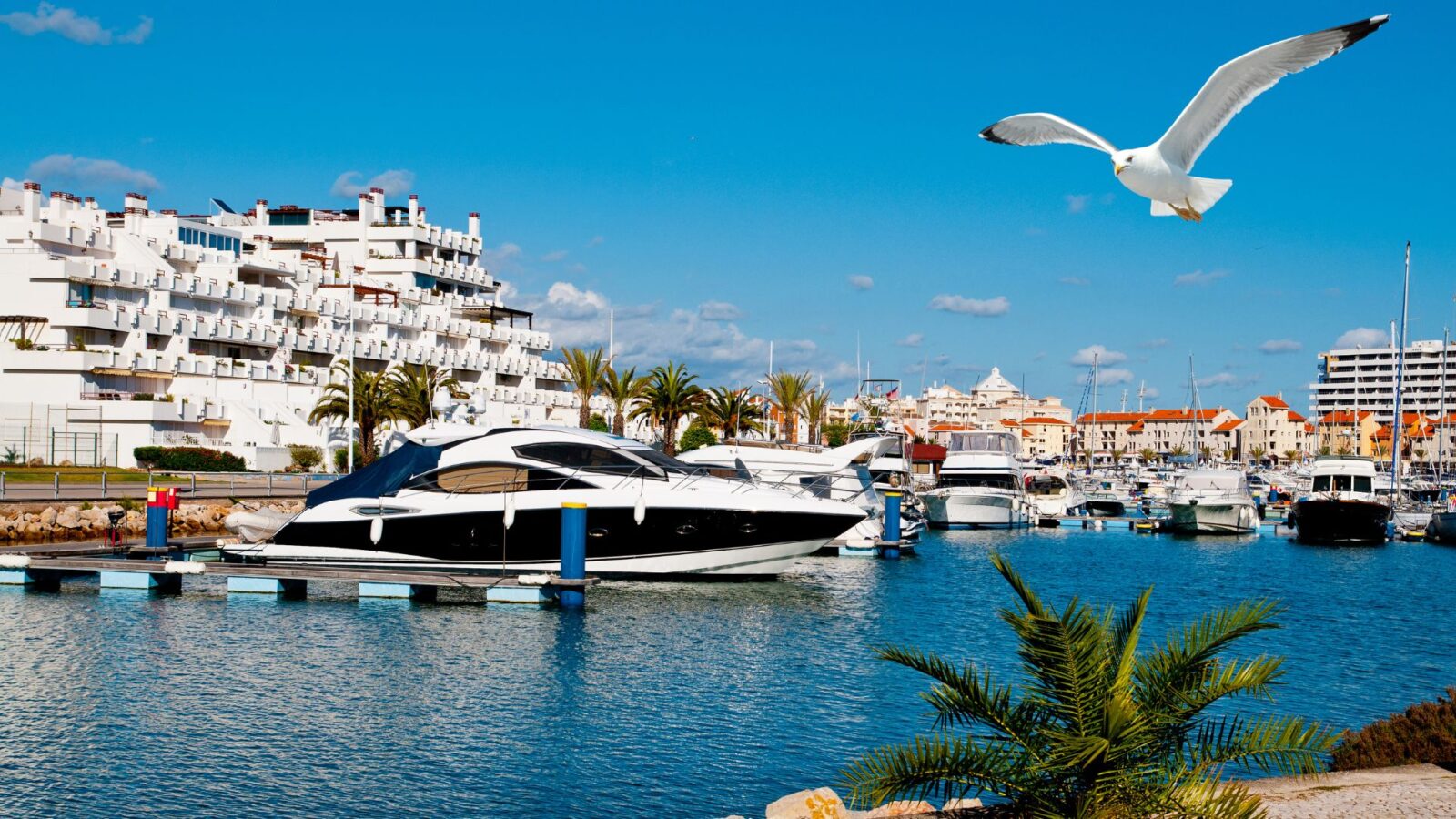 Vilamoura Marina with yachts and modern buildings in Algarve.